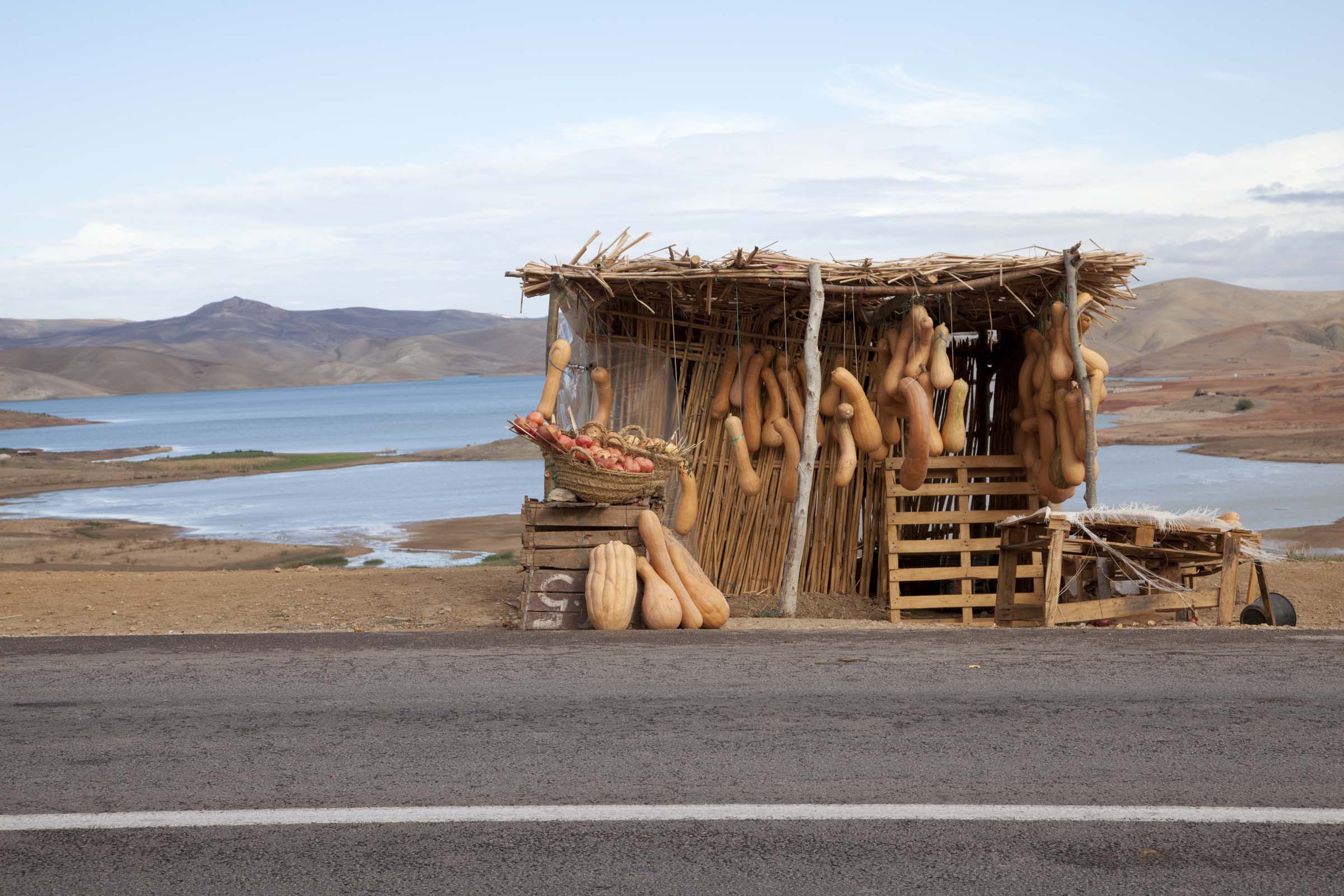 scott_porfolio_2013_0165